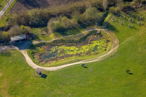 Aerial view, horse pasture and pond at Katzbach, Südkirchen, Nordkirchen, Münsterland, North