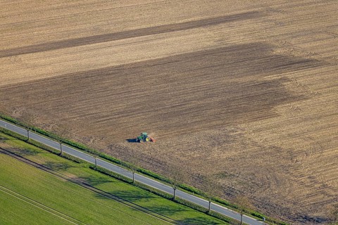 Aerial view, agricultural work with tractor on a field, Ascheberger Straße with tree avenue,