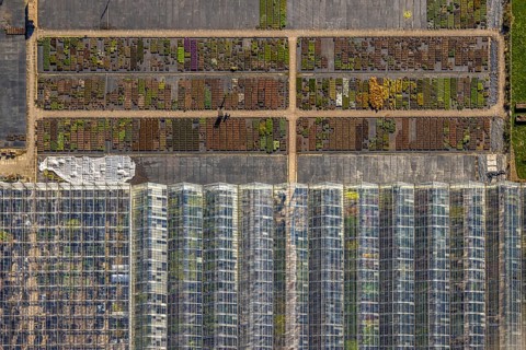 Aerial view, horticultural business Heutinck Pflanzen GmbH, greenhouse roof and flower bed, shapes
