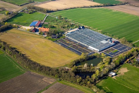 Aerial view, horticultural business Heutinck Pflanzen GmbH, greenhouse and flower bed, Südkirchen,