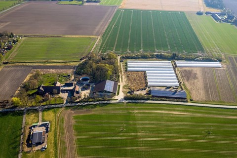 Aerial view, agricultural farm and greenhouses, Capelle, Nordkirchen, Münsterland, North