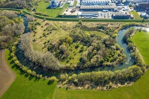 Aerial view, river Lippe meander with bulb field landscape conservation area at Remondis Lippewerk