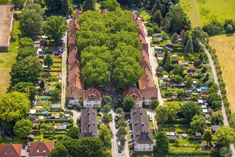 Aerial view, housing estate settlement Teutoburgia miners' settlement with group of trees in the