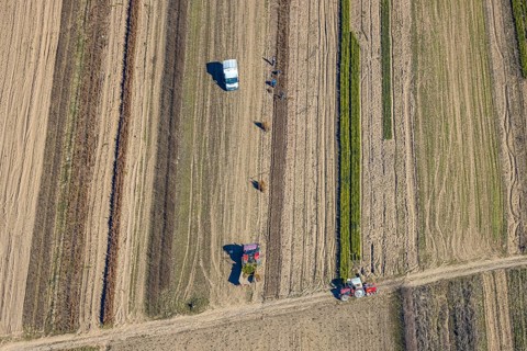 Aerial view, agricultural field work with tractor and manual labour, Würdinghausen, Kirchhundem,