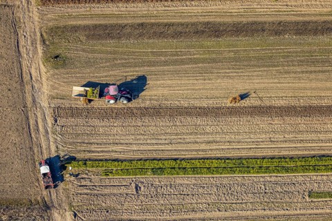Aerial view, agricultural field work with tractor and manual labour, Würdinghausen, Kirchhundem,