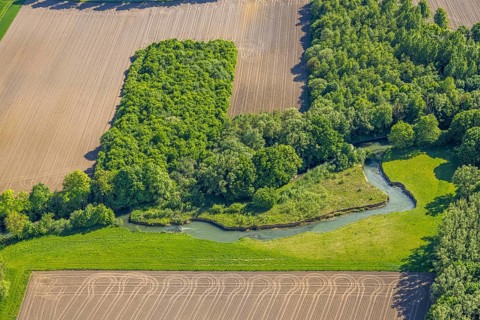 Aerial view, Gravenkamp area with meadows and fields, river Ahse, Uentrop, Hamm, Ruhr area, North