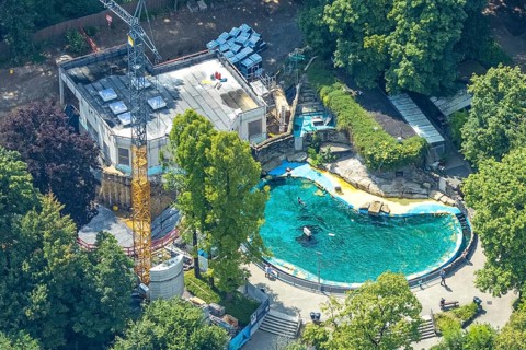Aerial view, Duisburg Zoo, sea lion enclosure and construction site with modernisation and
