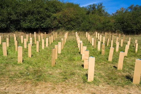 The Installation AUFFORSTUNG, REFORESTATION by Matthias Block, 12th international wind art festival