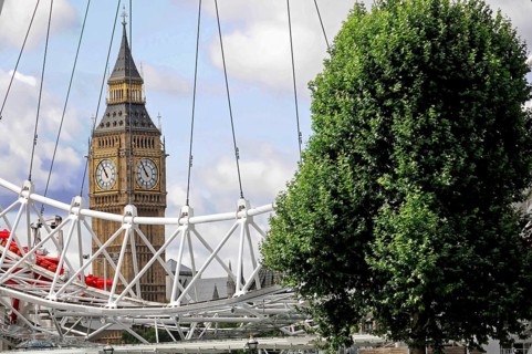 Big Ben and the London Eye behind a large tree and ropes, under a cloudy sky, London, England,