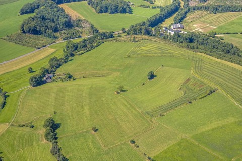 Aerial view, meadows and fields with single trees, CVJM Kierspe e.V., Thal, LSG landscape