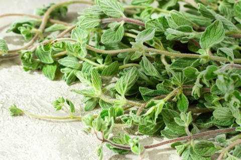 Fresh oregano sprigs are neatly arranged on a rustic plate, natural light, top view, no people