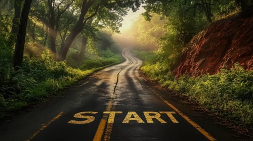 A winding road through a lush forest, bathed in sunlight, with the word START painted on the