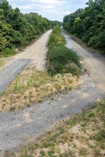 Old A4 motorway route dismantled with vegetation near Manheim, North Rhine-Westphalia, Germany