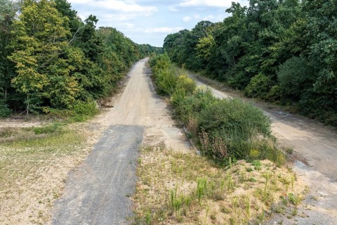 Old A4 motorway route dismantled with vegetation near Manheim, North Rhine-Westphalia, Germany