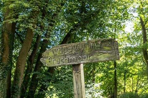 Old wooden sign in the forest, Paffendorf, North Rhine-Westphalia, Germany