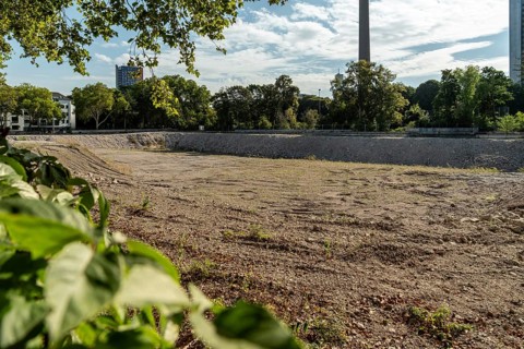 Excavation pit on Innere Kanalstraße with vegetation, Cologne, North Rhine-Westphalia, Germany