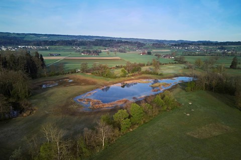Pond from above behind the Lindenberg, Merenschwand, Freiamt, Canton, Aargau, Switzerland