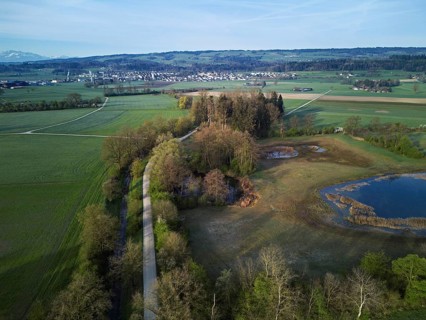 Pond from above behind the Lindenberg, Merenschwand, Freiamt, Canton, Aargau, Switzerland