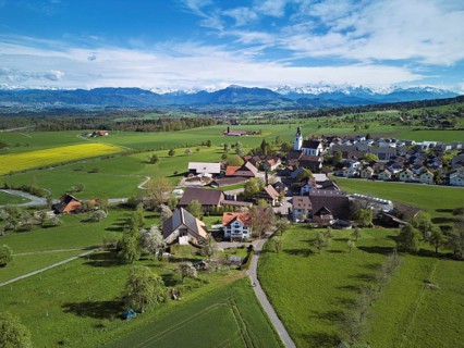 Village view with field of flowering rape, behind the Rigi and the snow-covered Alps, Beinwil,