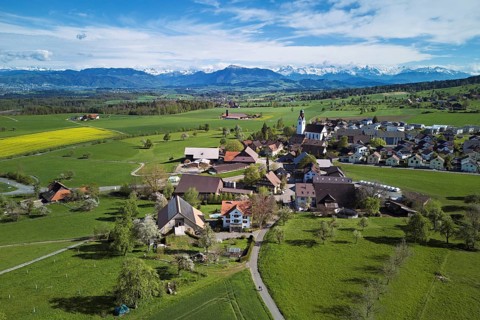 Village view with field of flowering rape, behind the Rigi and the snow-covered Alps, Beinwil,