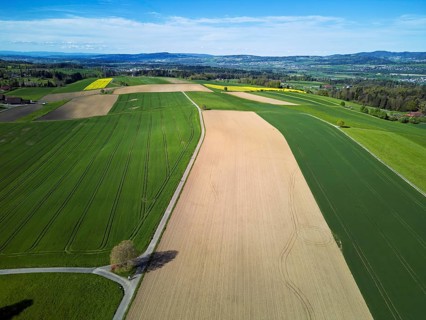 Agricultural arable land and meadows in the hamlet of Winterschwil, Beinwil, Freiamt, Canton,