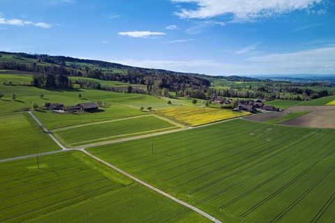 Agricultural arable land and meadows in the hamlet of Winterschwil, Beinwil, Freiamt, Canton,