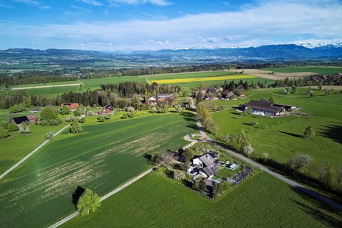 Blossoming pear trees and rape fields, the Reuss valley and the snow-covered Alps in the