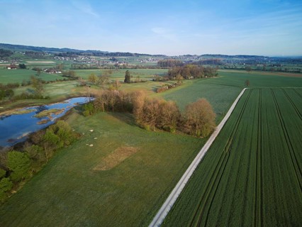 Pond and fields from above behind the Lindenberg, Merenschwand, Freiamt, Canton, Aargau,
