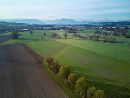 Agricultural fields and meadows in the Reuss valley, with the Rigi and the Alps behind,