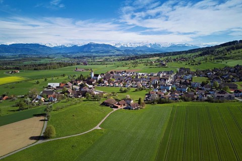 Village view with field of flowering rape, behind the Rigi and the snow-covered Alps, Beinwil,