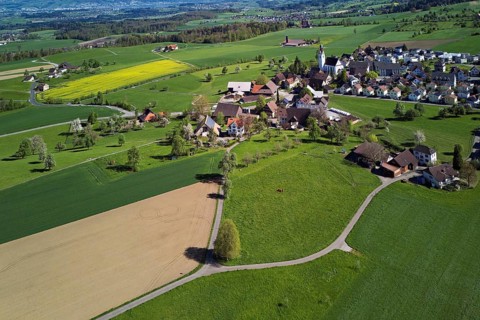 Village view with field of flowering rape, behind the Rigi and the snow-covered Alps, Beinwil,