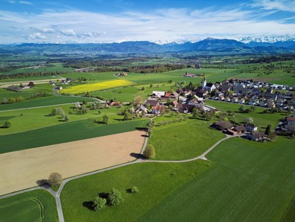 Village view with field of flowering rape, behind the Rigi and the snow-covered Alps, Beinwil,