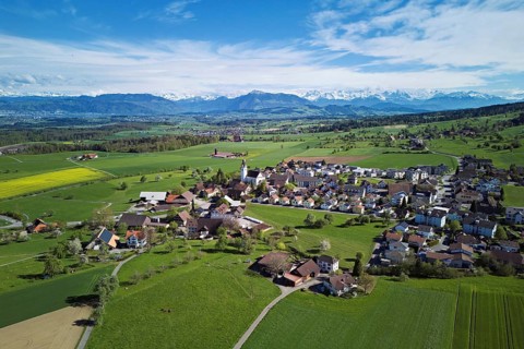 Village view with field of flowering rape, behind the Rigi and the snow-covered Alps, Beinwil,