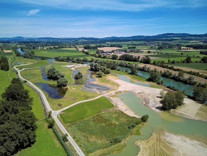 Freshly renaturalised area on the Reuss, floodplain landscape, Reussegg hamlet, Sins, Freiamt,