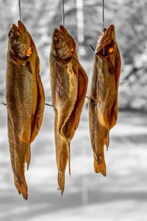 Some smoked trouts hanging side by side