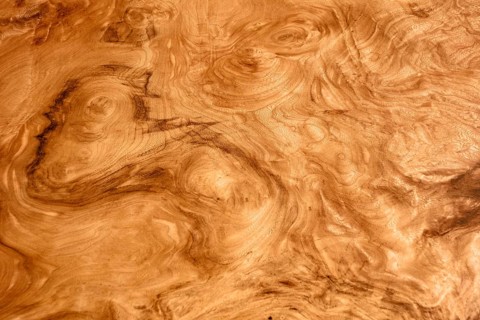 Full frame shot of a vivid wood grain surface