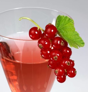 Redcurrant berries as decoration on a drinking glass in light grey back