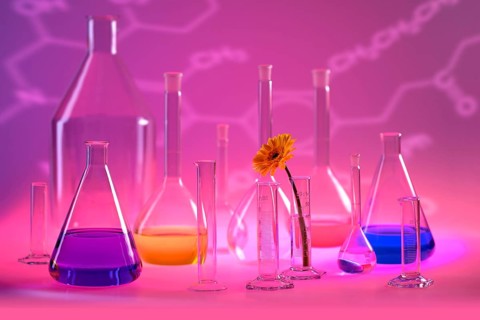 Variety of partly filled laboratory glassware including a flower head in violet illuminated