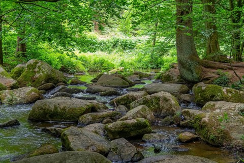 Impression at the idyllic nature reserve named Hoelle in the Bavarian Forestin Southern Germany at