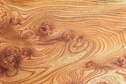 Full frame abstract burl wood background