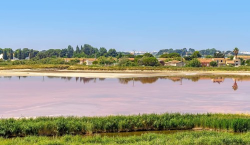 Settlement around a pink salt evaporation pond in the Camargue area in southern France