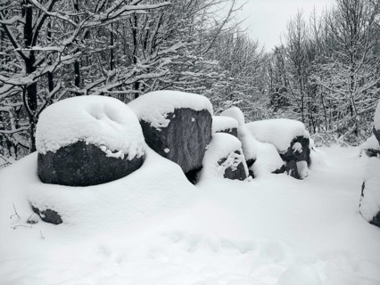 Grey toned snow-covered forest with big stones in Southern Germany