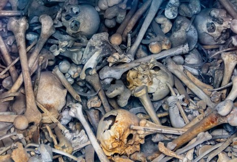 Lots of human bones from fallen soldiers seen at the Douaumont Ossuary, a memorial located near