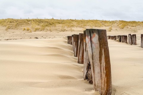 Sandy beach detail showing a groyne and dune overgrown with grass in a dutch province named Zeeland