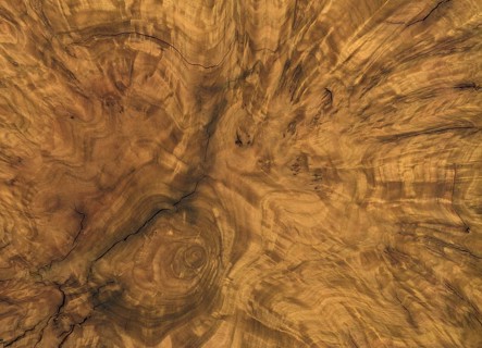 Full frame abstract burl wood background