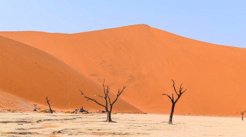 Namib desert scenery with dead acacia trees around Deadvlei in the Sossusvlei area in Namibia