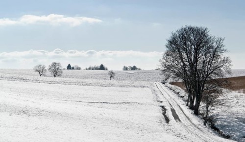 Snowbound rural landscape at winter time in Hohenlohe, an area in Southern Germany