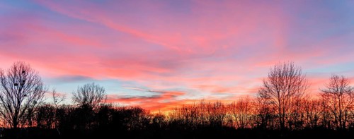 A colorful sundown including some clouds behind some leafless treetop silhouettes