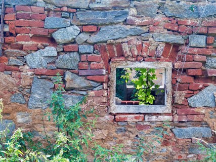 Old brick with window opening and green plants, gives a rustic ambience Styria Austria