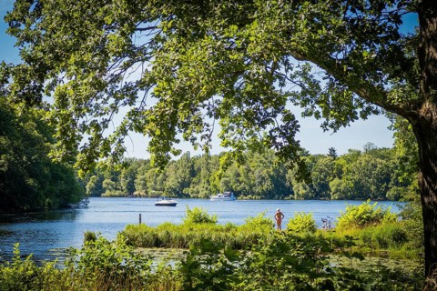Swimming in nature at Wannsee, Berlin, Germany